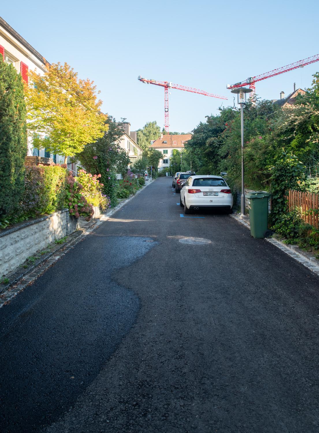 A small residential street with a lot of trees and flowers in the gardens. Three cars are parked on blue parking spots on the right of the street. There's a couple of red cranes in the background.