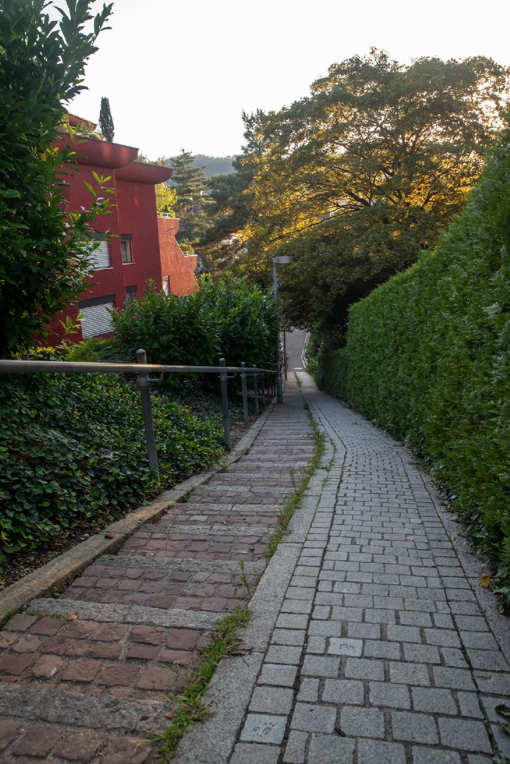 A small pedestrian alley, with dark red block steps on the left halfand  with grey blocks on the right. The path goes down and arrives roughly at the center of the pictures. There are trees and a green hedge on the right, and a housing red building on the left of the alley.