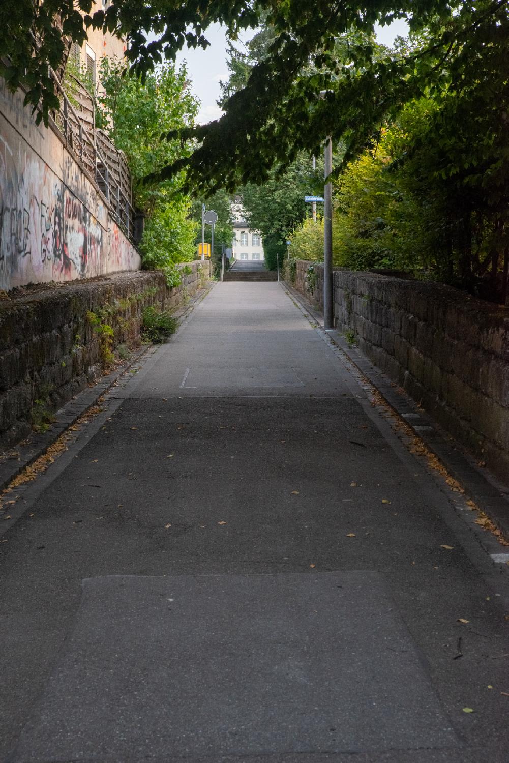 A small alley bordered by a meter-high block walls on each sides, a wall with graffiti on the left side and a green hedge on the right side.