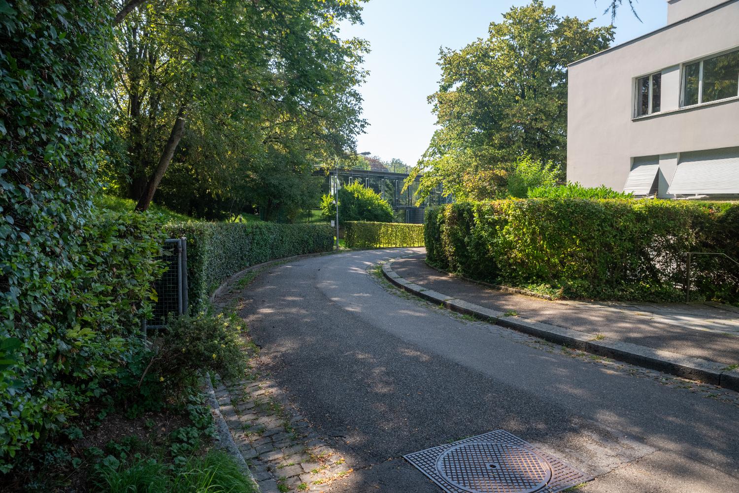 A narrow curved road with hedges and trees on both sides, and a couple of buildings on each side.