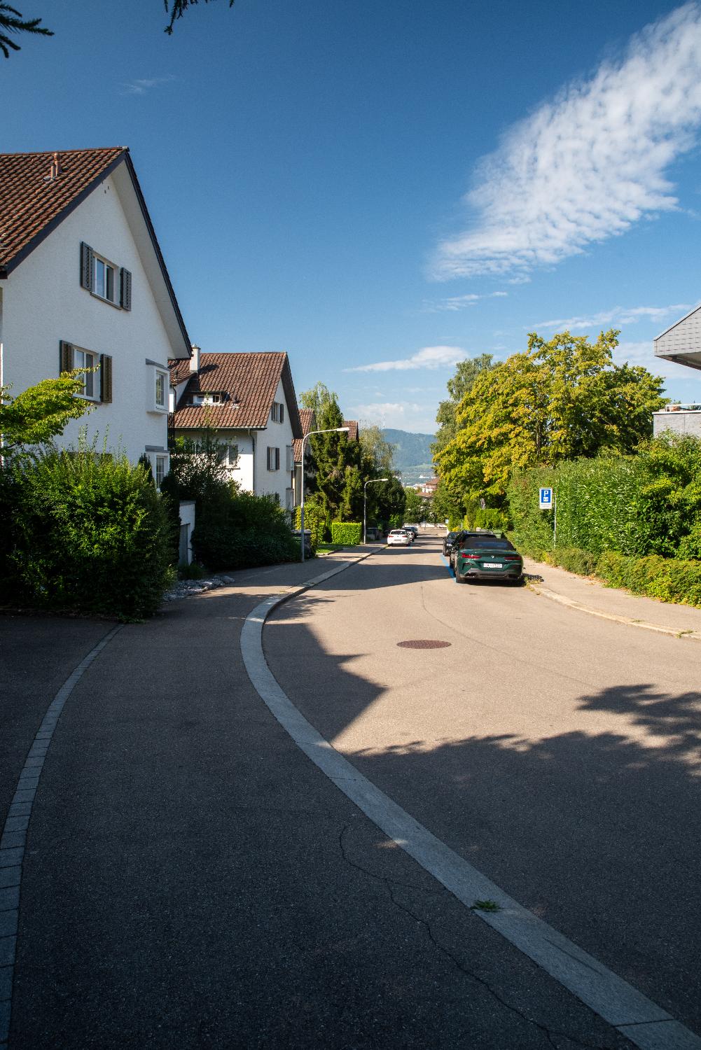 A residential street with a couple of large houses on the left side and a few cars parked on each side of the street. The Uetliberg mountain faintly appears in the background in the continuation of the street.