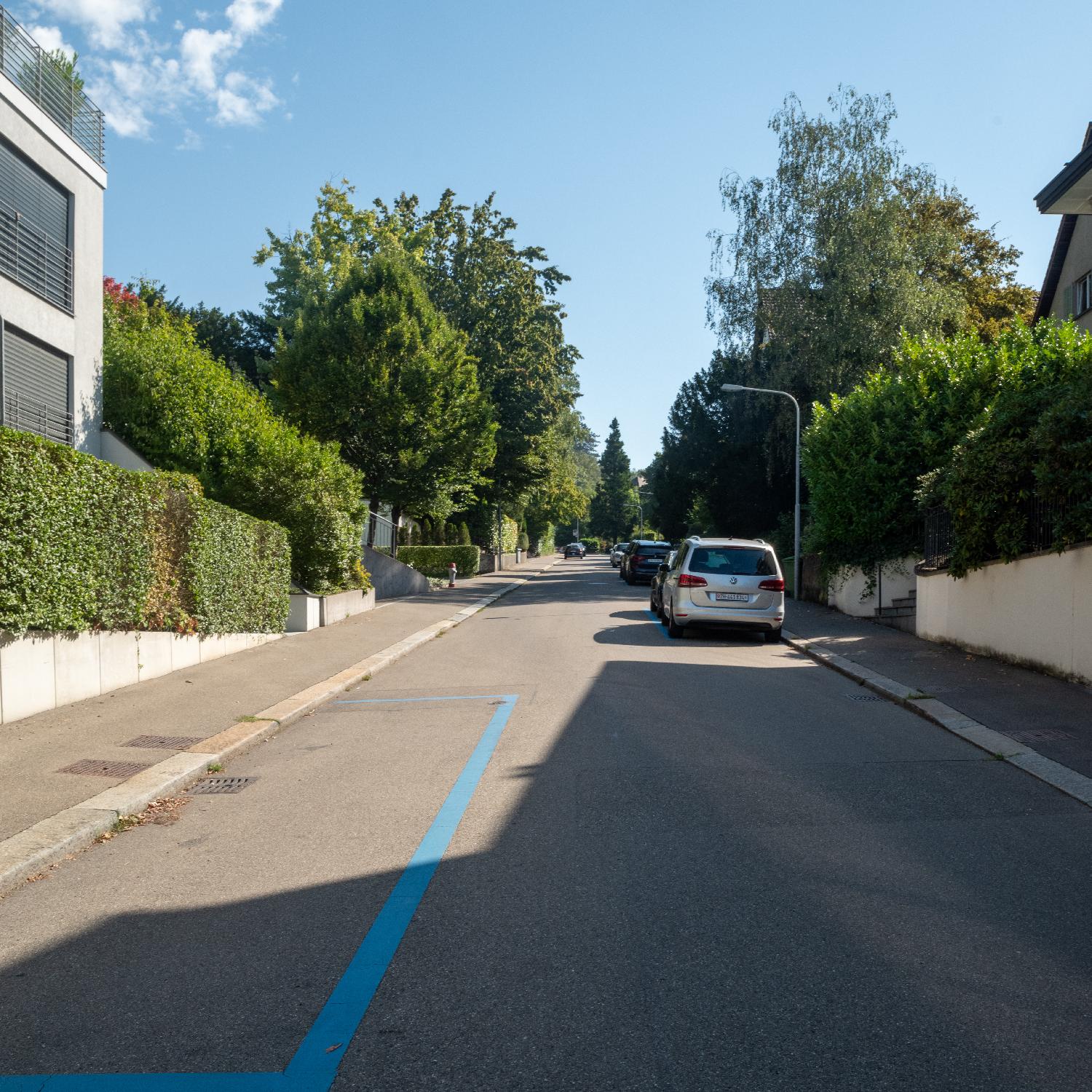 A residential street with hedges and trees on both sides, an empty blue parking spot in the foreground, and a couple of cars parked further away.