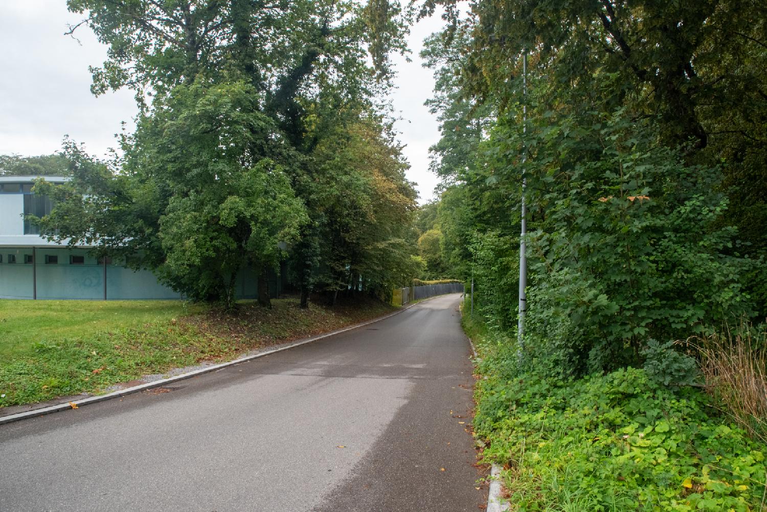 A narrow street with, on the left, a green/turquoise building with small high windows and, on the right, trees.