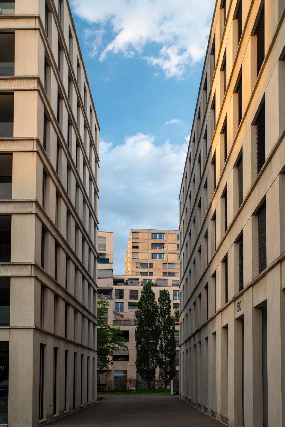 A narrow alley between a 8-story building and a 6-story building, both with numerous rectangular windows, letting see through residential buildings and a couple of trees.