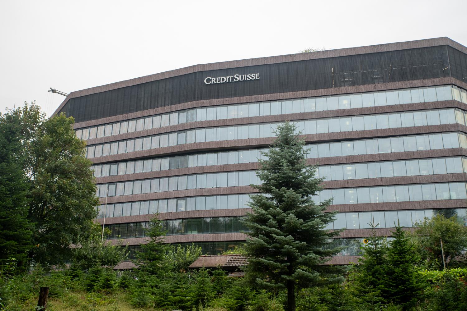 A large 10-storey building, with windows all around, and some coniferous trees in front of it.
