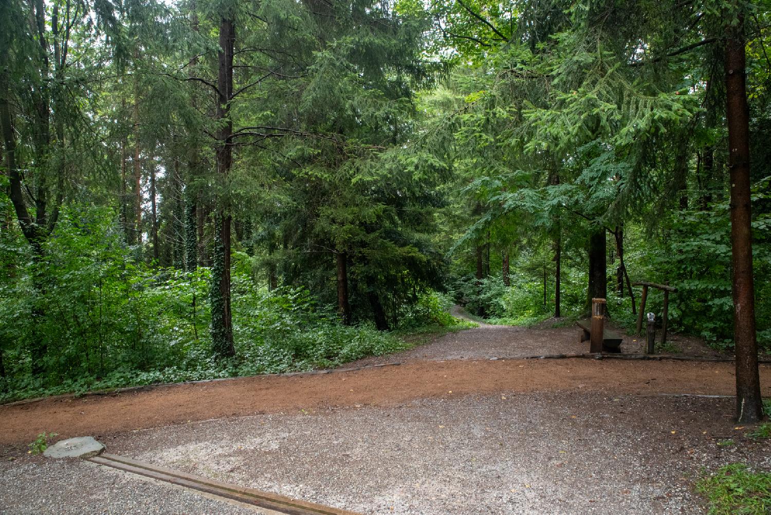 A gravel path intersection in a forest, with a wooden bench.