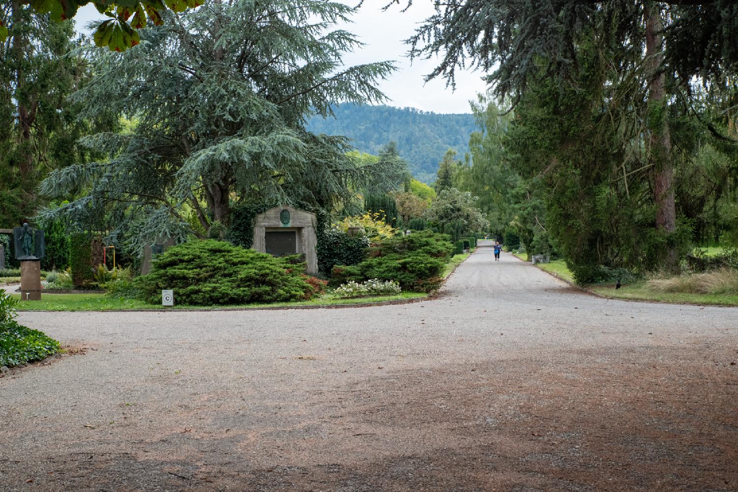 A large cemetery gravel alley with coniferous trees and funeral monuments. The Uetliberg is visible in the background.