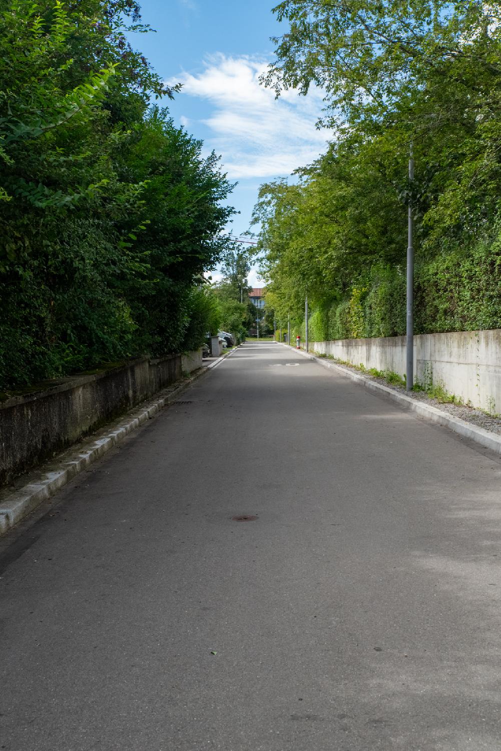 A small street with a 30 km/h speed limit painted on the road, and walls and trees on each side of the street. The perpendicular street at the end of the street is visible in the background.