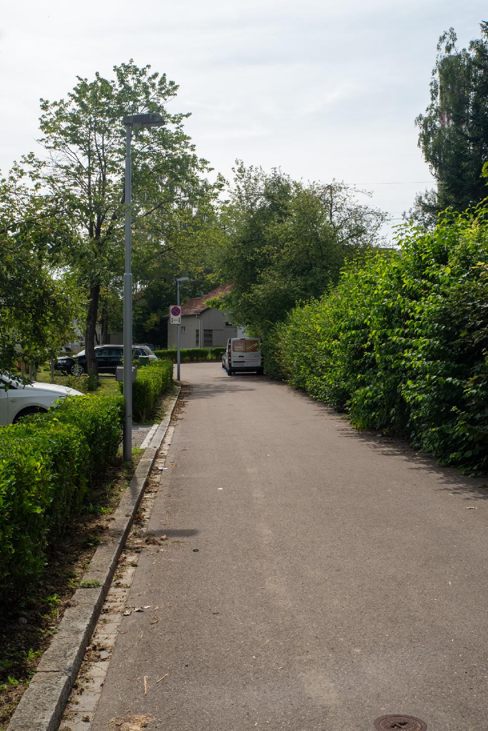 A small residential street with hedges and cars parked in driveways. The houses are not really visible from the street.