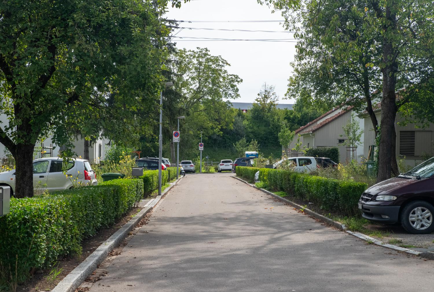 A small residential street with hedges and individual houses. A lot of cars are parked in the driveways.