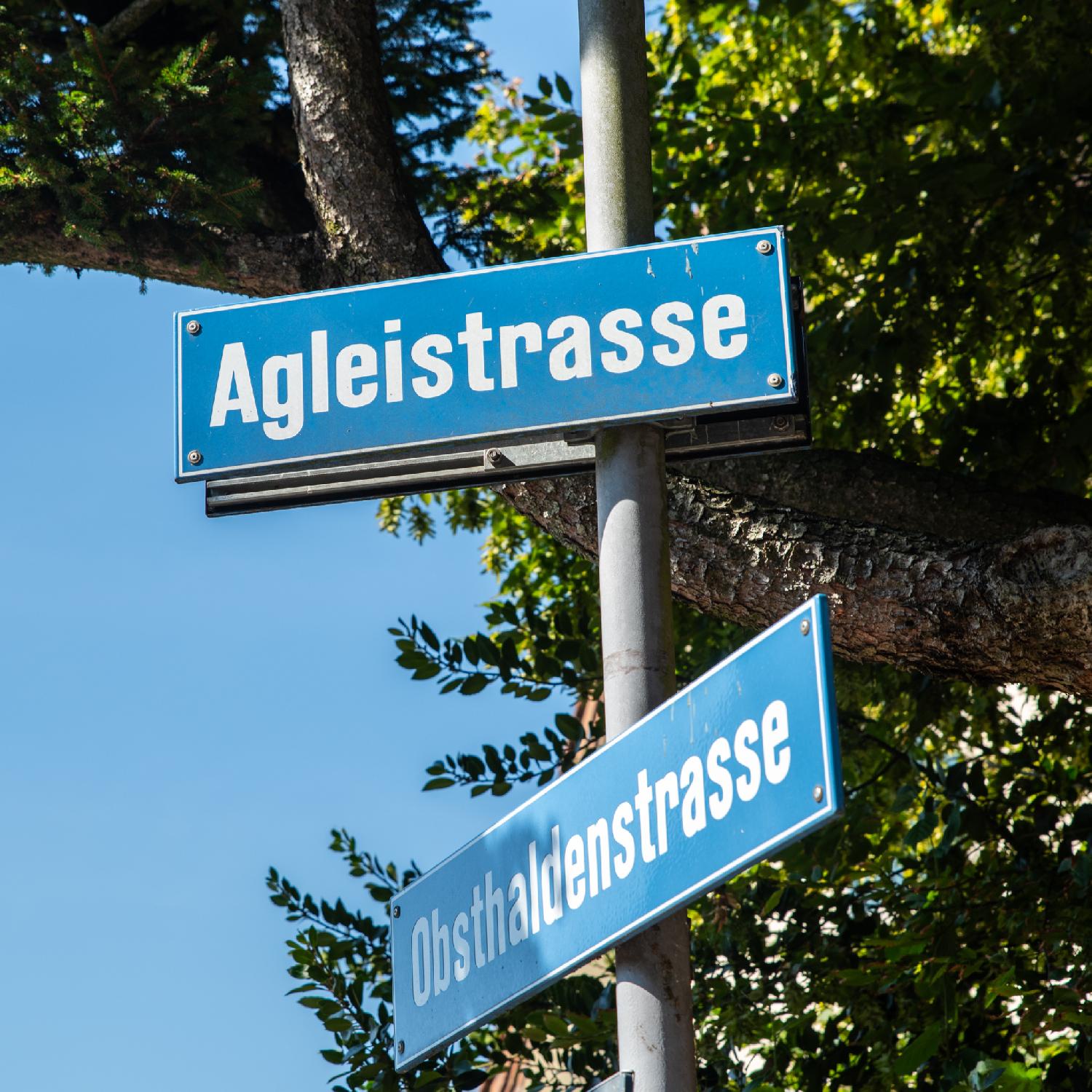 Two blue street signs at an angle, one for Agleistrasse and one for Obsthaldenstrasse, on a grey mast in front of a tree.