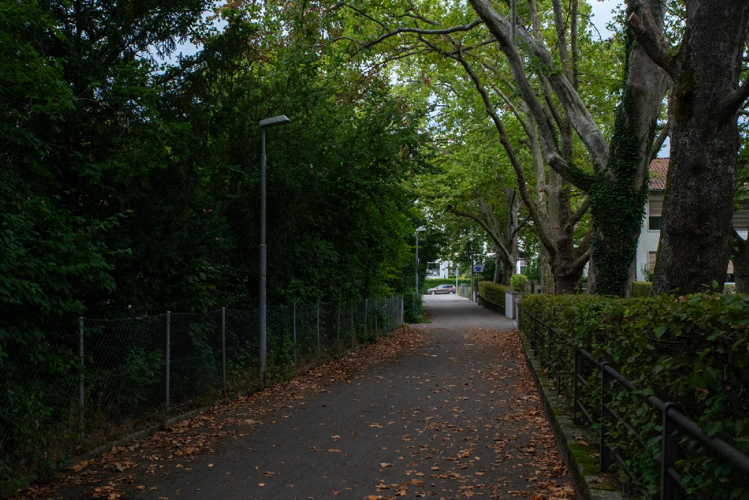 A pedestrian path with trees on each side, and a building hidden by the trees on the right. The leaves are just starting to fall on the path.