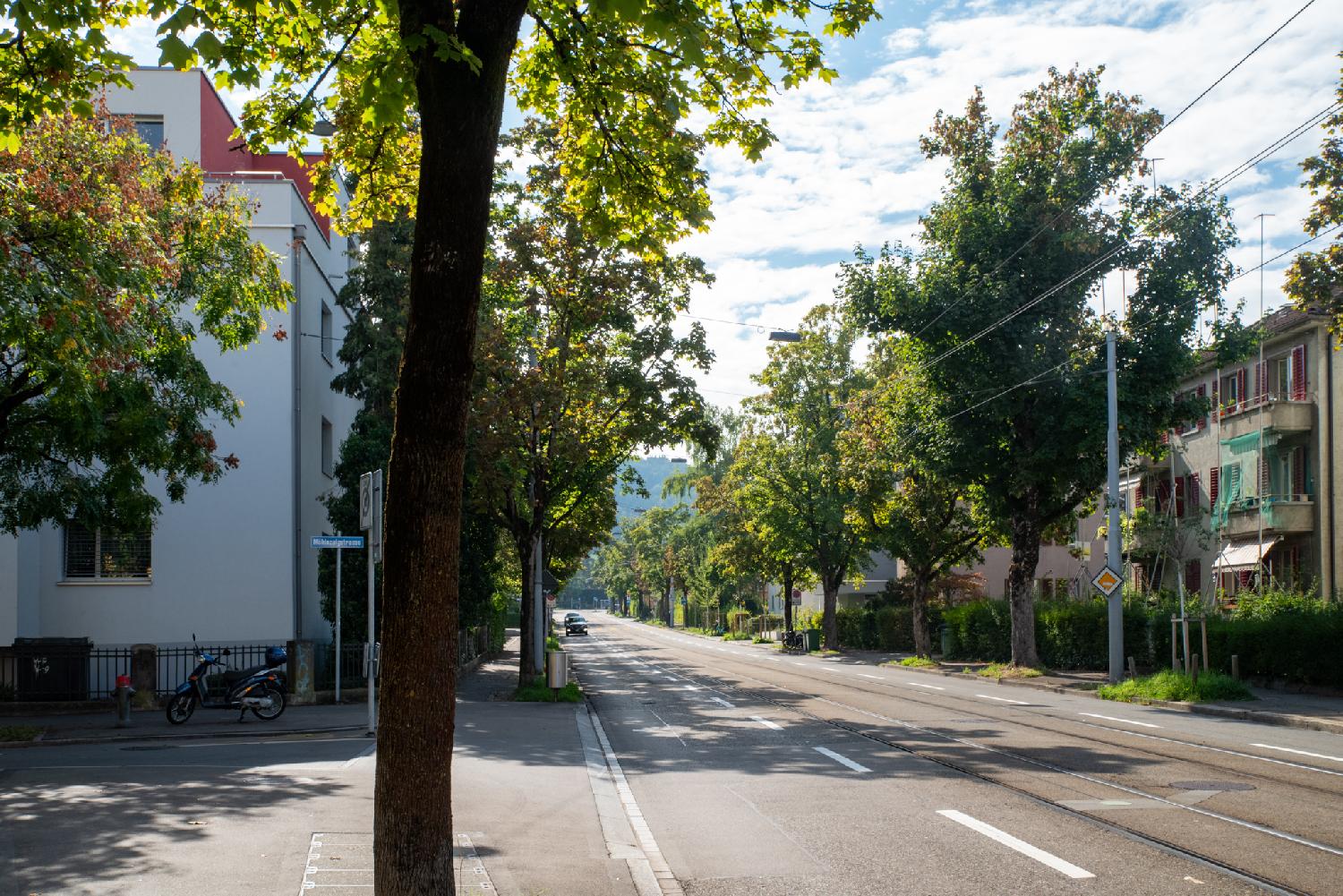 A road with a tram line in the middle and car lines on each side. There are trees on the sidewalks and 3-4-storey buildings behind the trees.