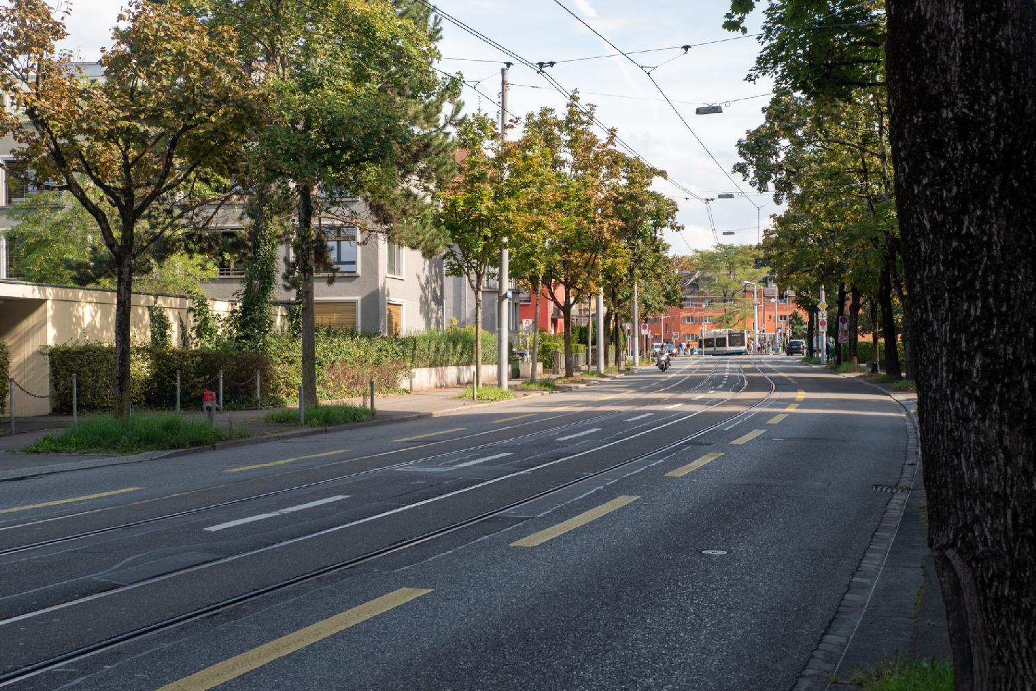 A road with a tram line in the middle and car lines on each side. There are trees on the sidewalks and 3-4-storey buildings behind the trees. A city bs is also visible in the far side of the road.