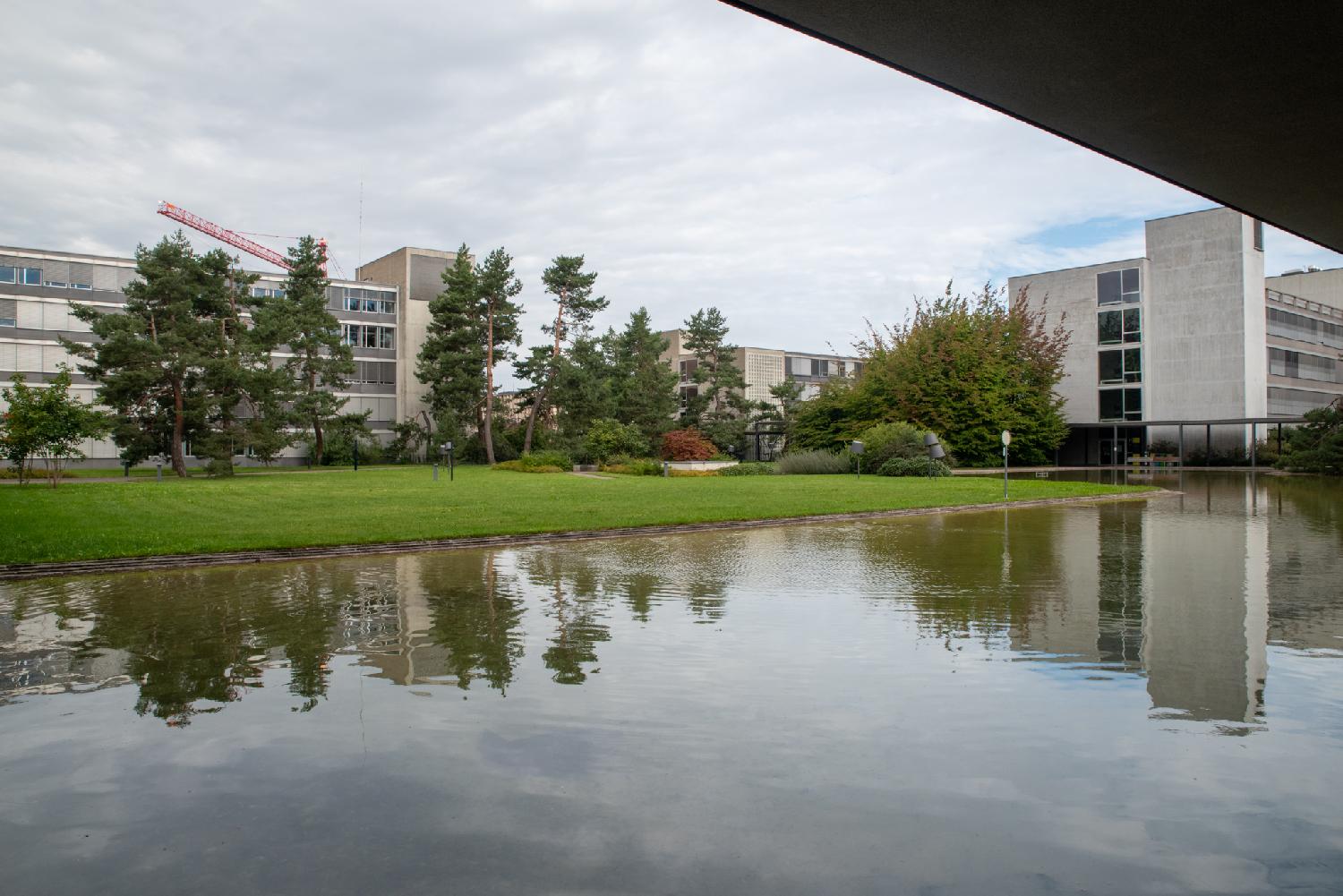 A pool of water with buildings and trees reflecting into it