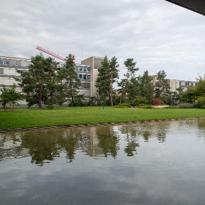 Albert-Steiner-Garten