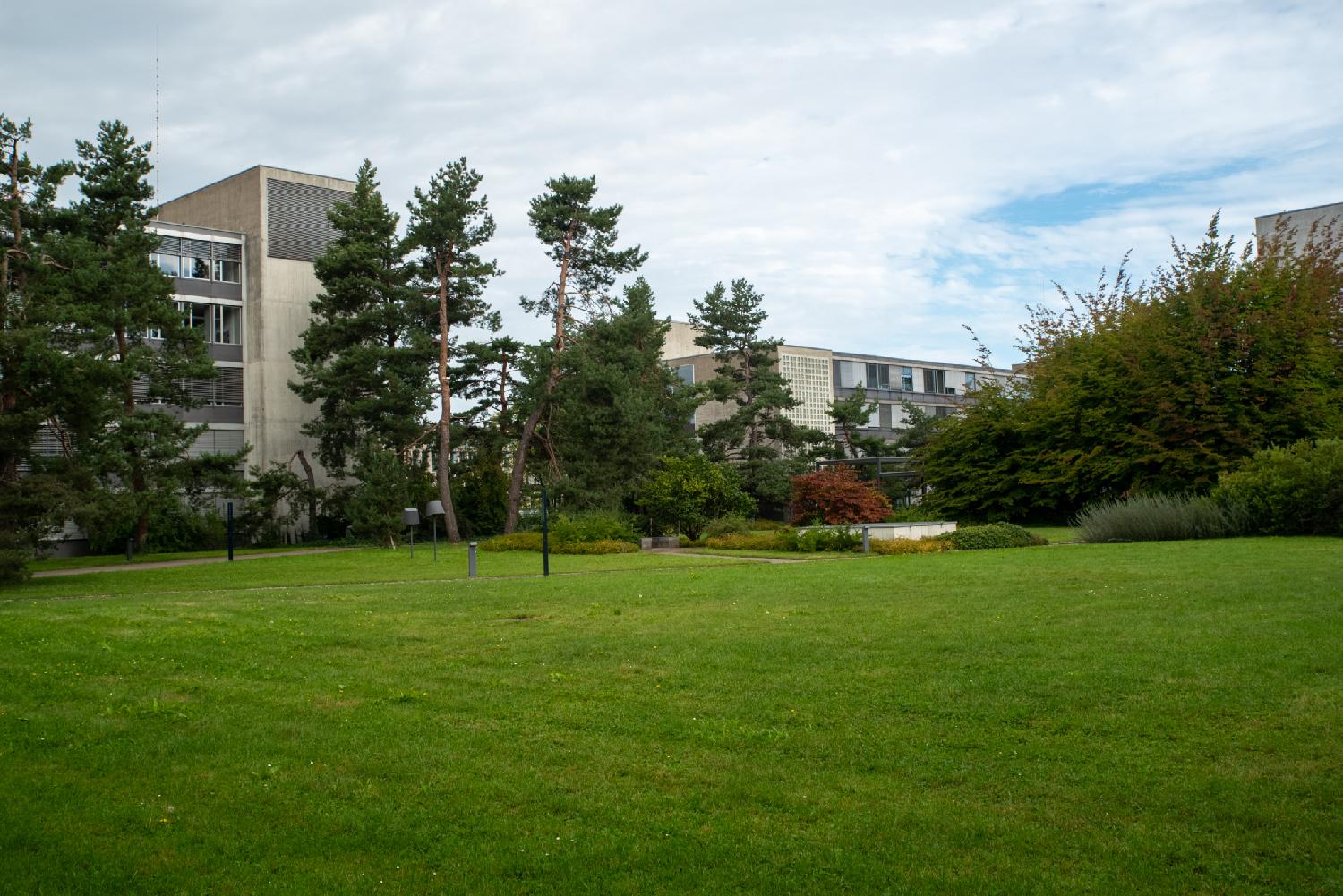 A green lawn with some trees and white buildings in the background