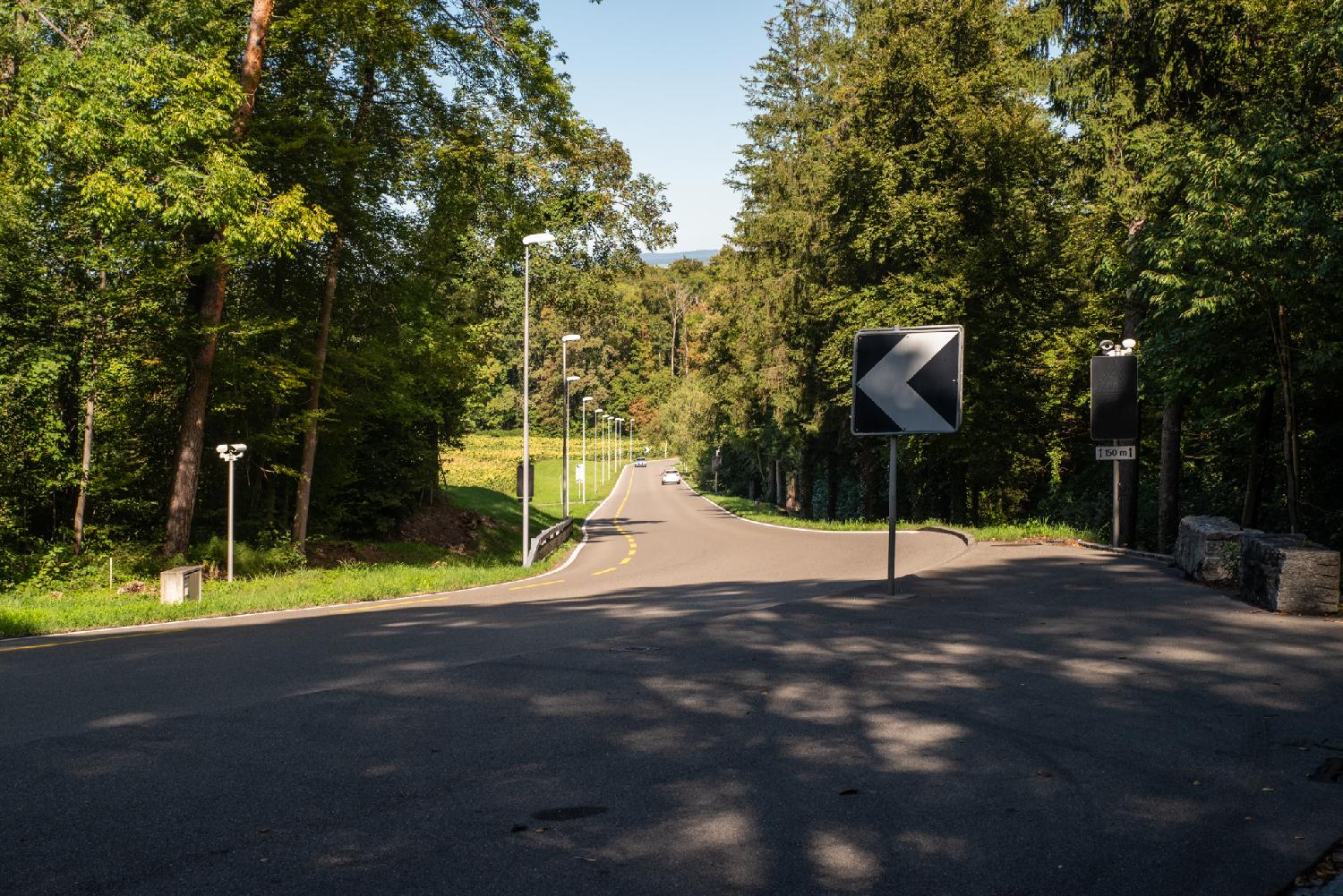 A curved road with a lot of lampposts in a wooded area.