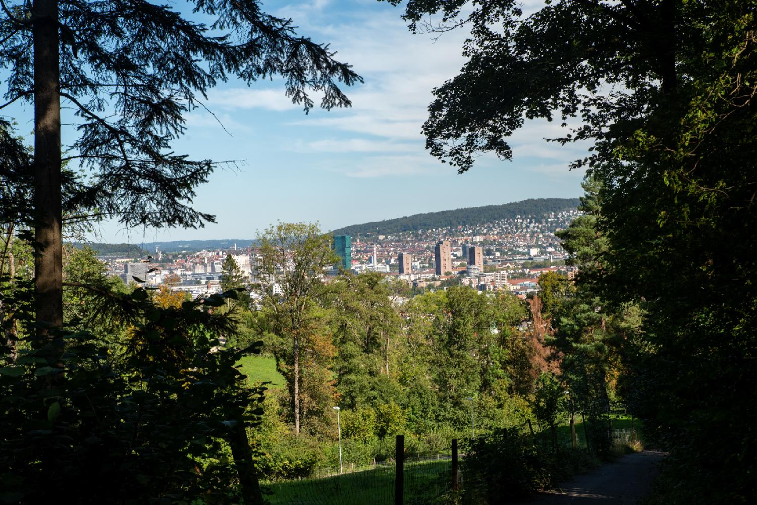 A few of trees in the fore/middle grounds, and the city of Zürich with a small hill in the background showing through a large hole in the trees. One mainly sees a few high rises in the midst of general urban landscape.
