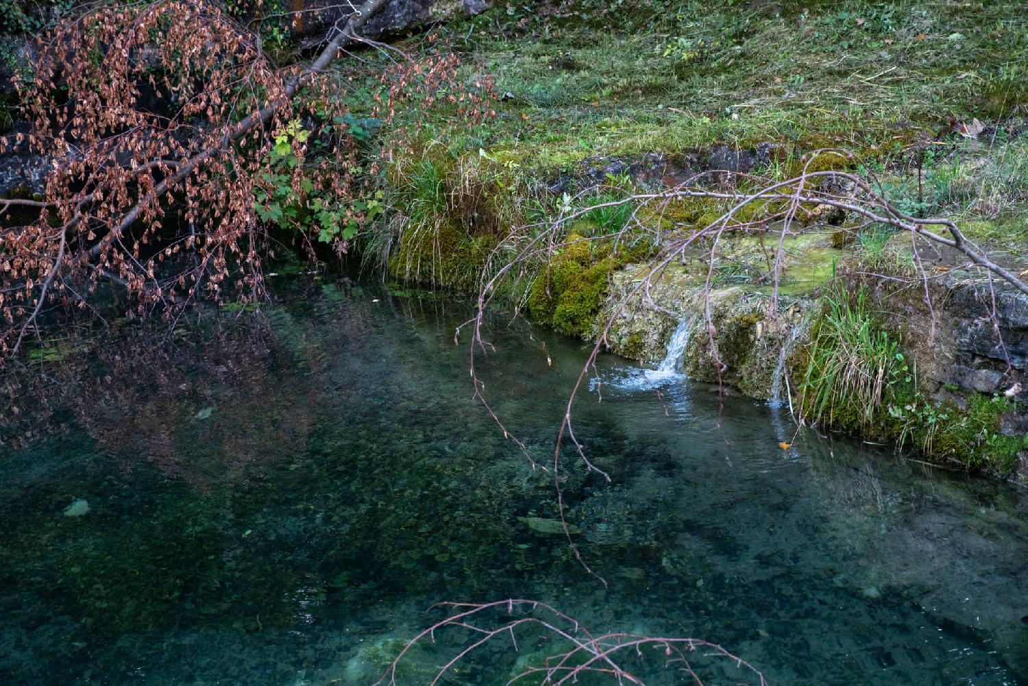 A small stream between grass and moss, arriving into a pool of transparent water.