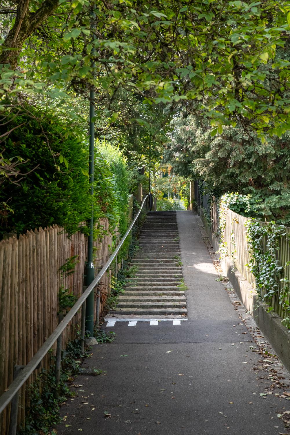 Alemannensteig in Zürich - a narrow pedestrian alley with low stairsteps and a ramp on the left, wooden fences and a lot of trees and greenery