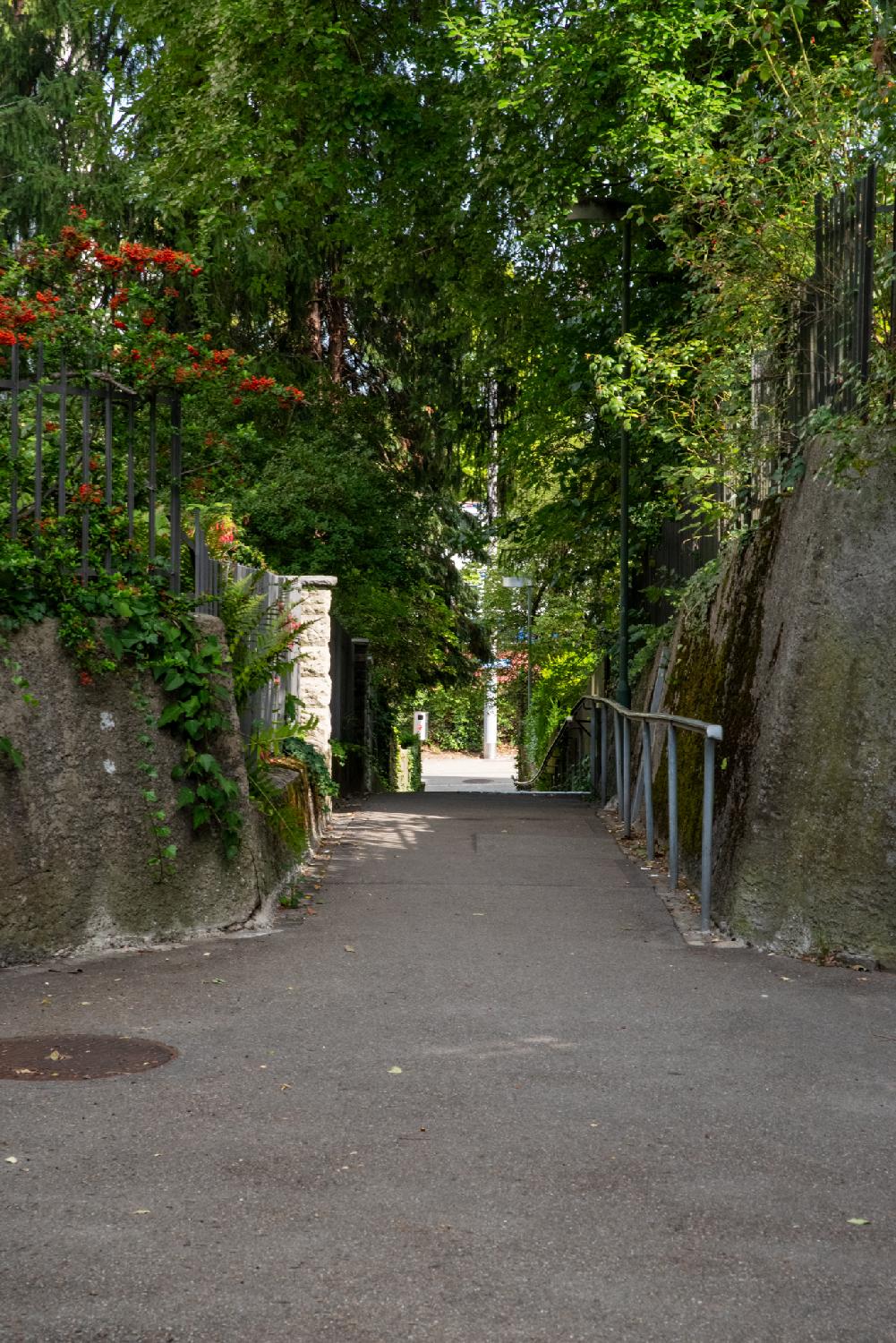 Alemannensteig in Zürich: a narrow pedestrian alley with a ramp on the right side