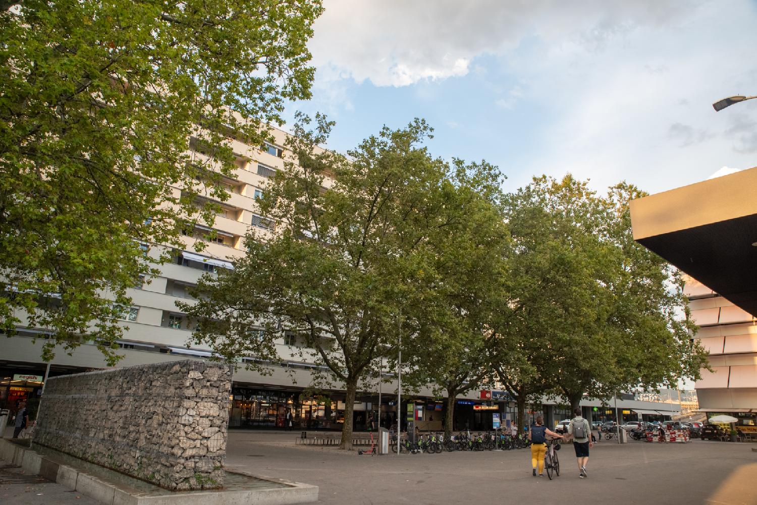Altstetterplatz in Zürich - train station, a couple of trees in front of it and a fountain (seen from the back)