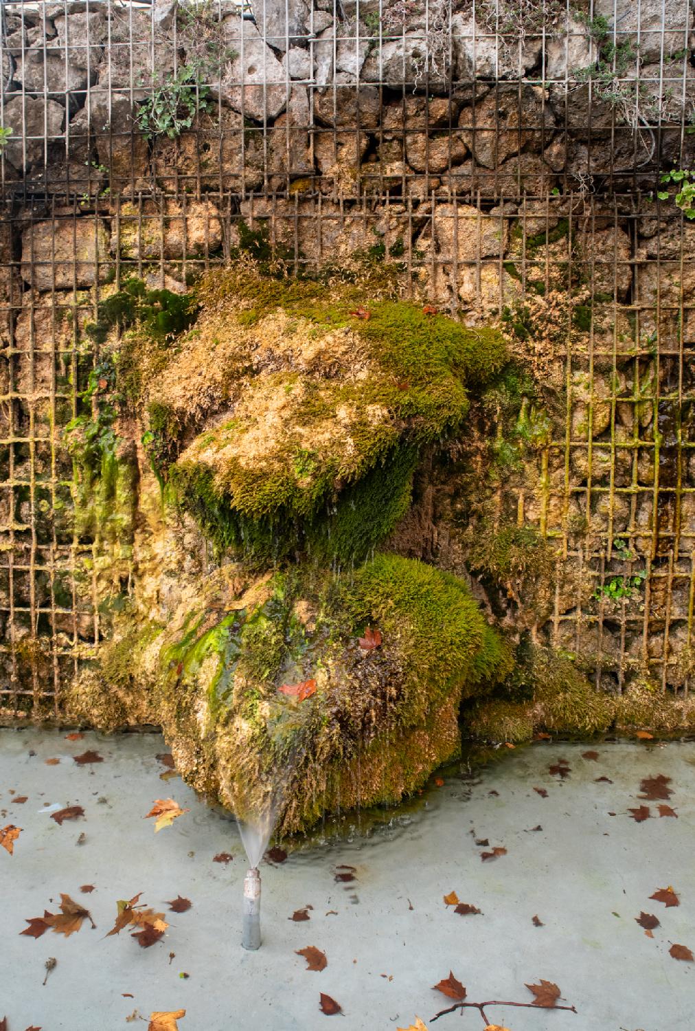 Fountain in Altstetterplatz in Zürich - a small faucet projects water on rocks protuding from a metallic grid; a lot of moss has grown on the structure.