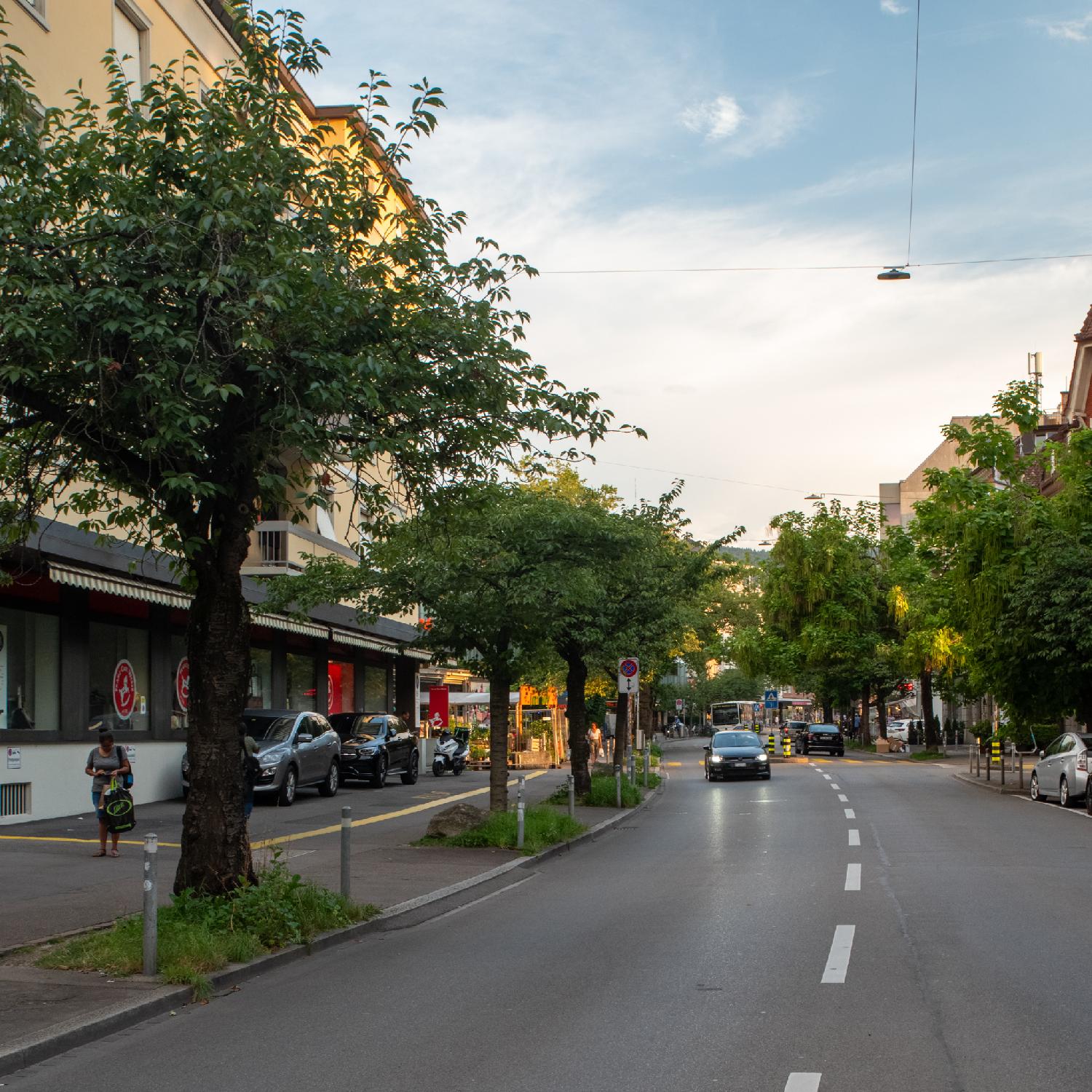 A two-way street with 4-story buildings, cars parked on parking spots on the sidewalk, and trees planted along the road.