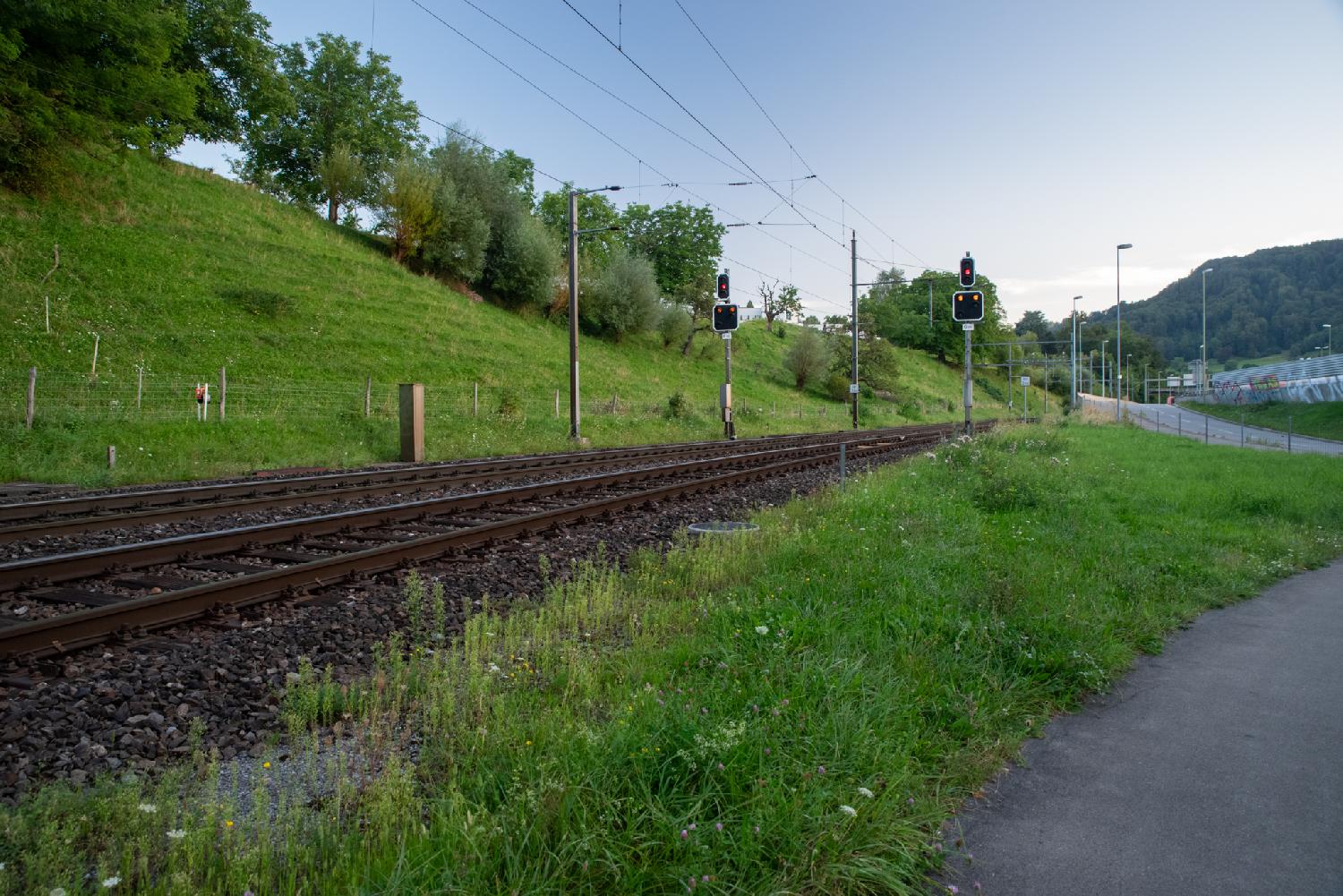 Allmendstrasse in Zürich: A street along a train track, with no barrier between the tracks and the road