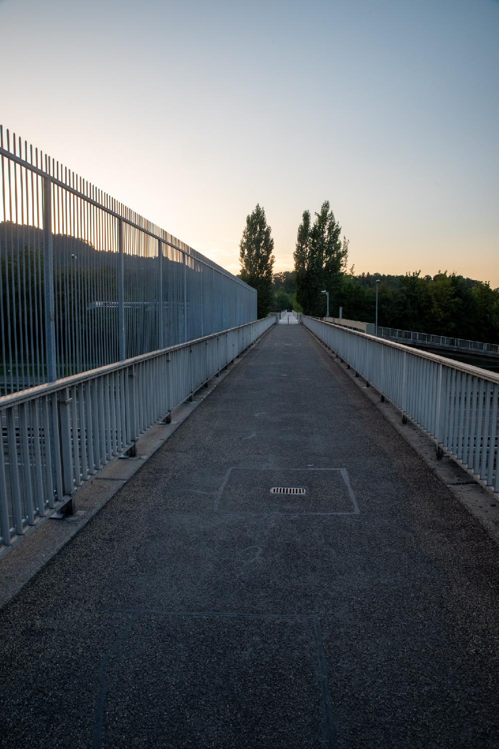 Bridge with an asphalt ground and metallic barrier, with high trees in the background