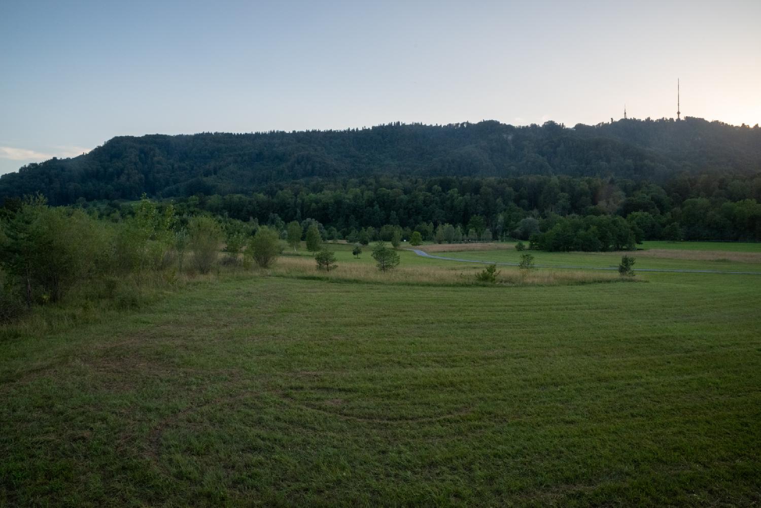 A large green grass area, with the Uetliberg in the background.