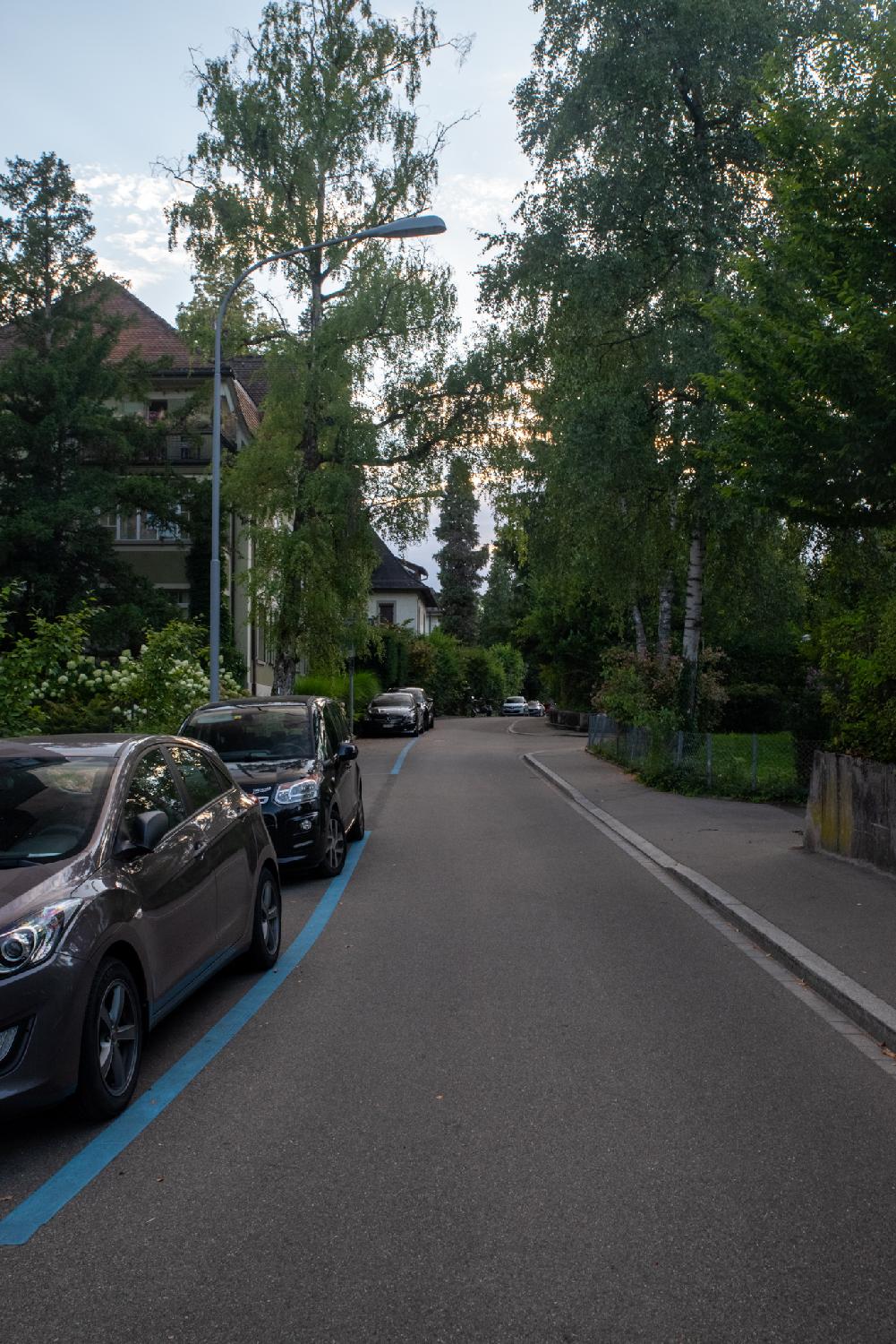 Allenmoosstrasse in Zürich: a narrow residential street with cars parked in blue spots, 3-4 story buildings and trees from gardens on each side of the road.