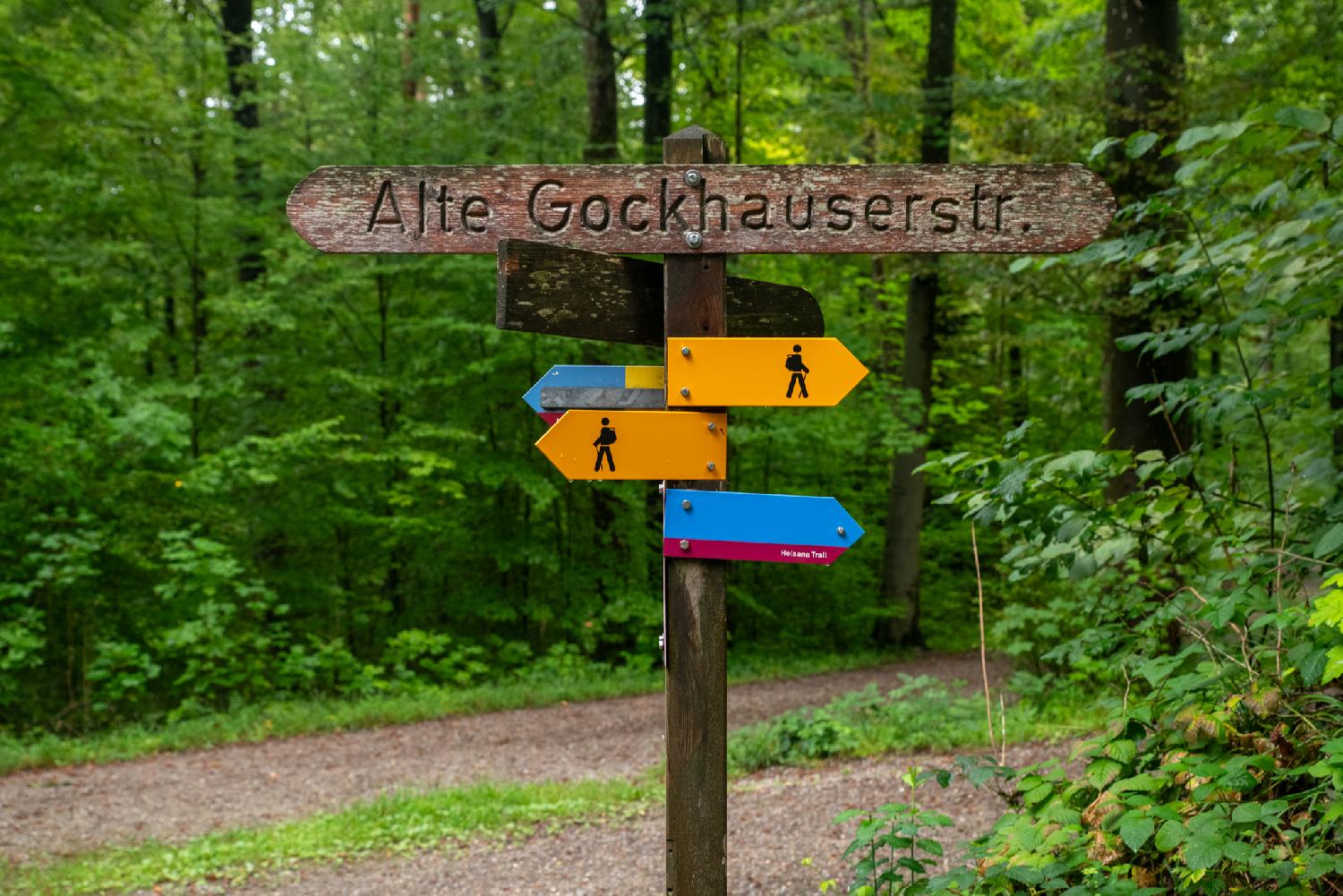 Zürich Alte Gockhauserstrasse path sign: a wooden path sign showing Alte Gochkauserstr., and blue and yellow hiking path signs.