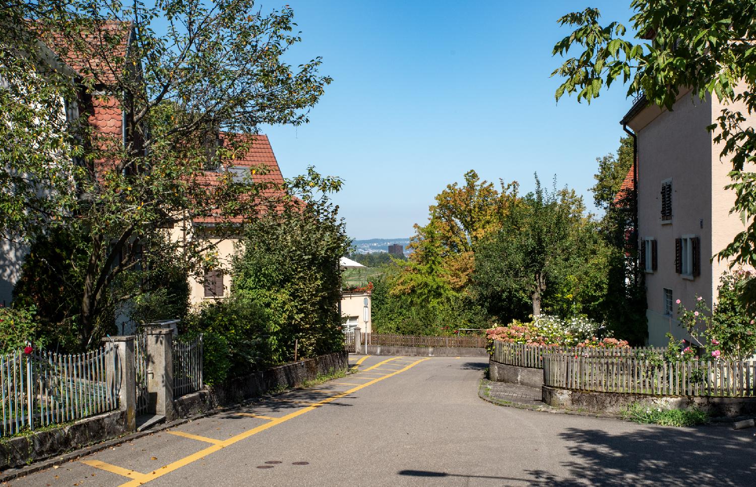 Althoosstrasse in Zürich: a street with 2-3 story habitation buildings on each sides, small gardens and greenery, wooden picket fences.