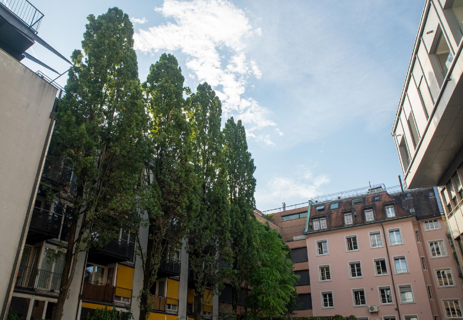 Alte Feldeggstrasse in Zürich: a pink 5-story building at a 90° angle with a black and yellow building hidden behind trees