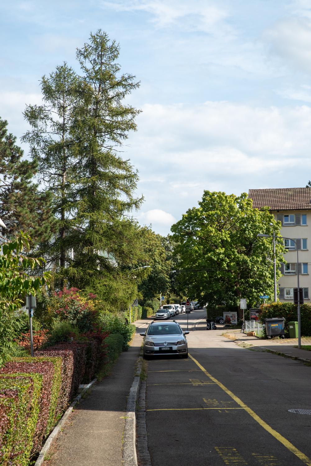 Altweg in Zürich: a residential street with parking spots (and cars) on the left of the road; a 4-story residential building is visible on the left behind a tree; on the right, there's a green and red straight hedge and a couple of large coniferous trees.