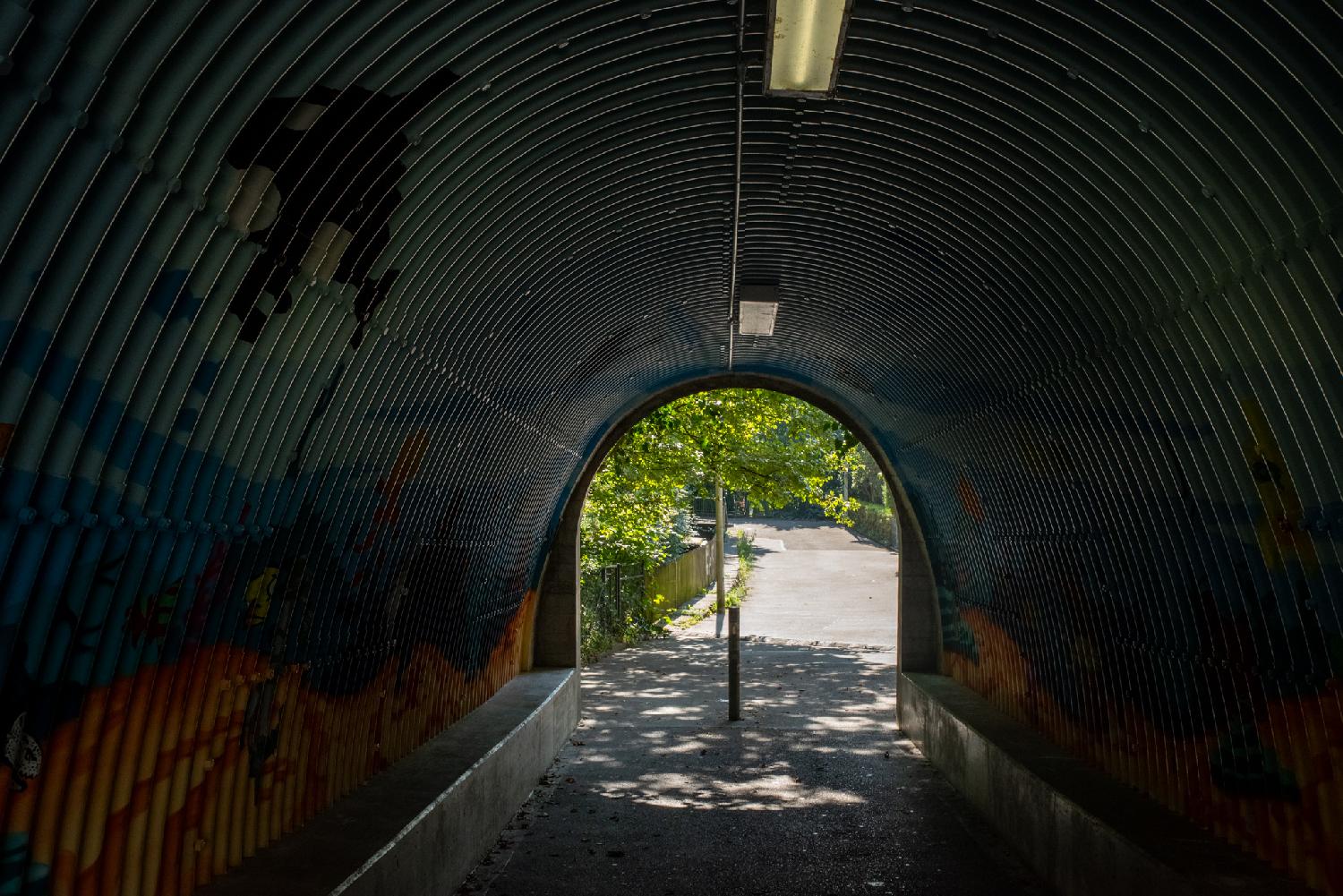 Tunnel in Altenhofstrasse, Zürich: a pedestrian tunnel where the curved walls have been painted; an orca is visible in the foreground of the image.