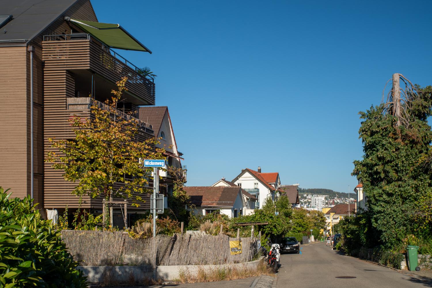 Algierstrasse in Zürich - a 4-story wooden-covered house on the left, individial houses, a conifer on the right whose head has been cut off, and the city in the background.