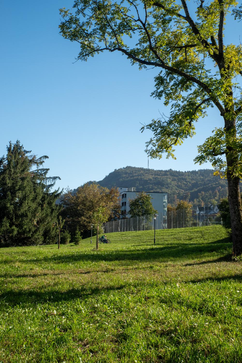 Uetliberg seen from Algierstrasse - a small hill with a large antenna on top, in the background of a picture with a tree, some grass and some buildings