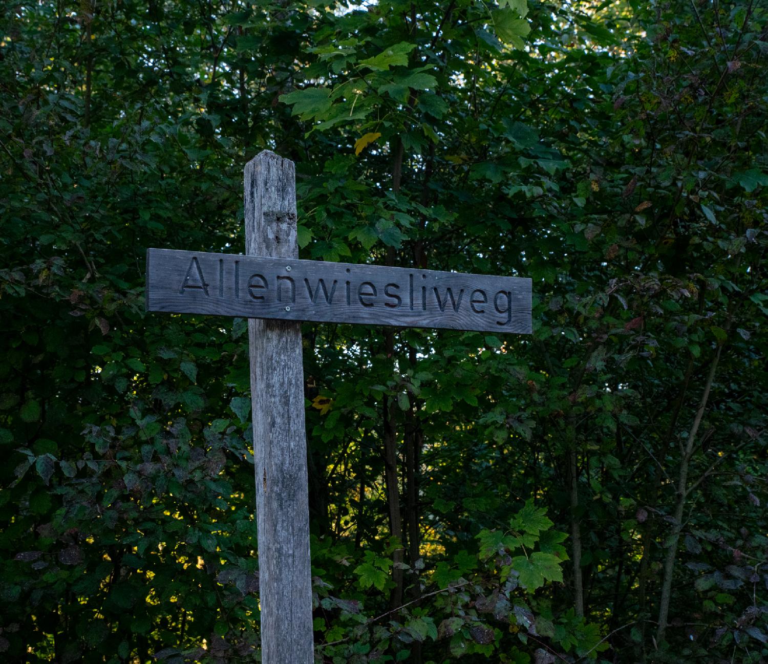 Street sign for Allenwiesliweg in Zürich: a wooden street sign in front of forest background