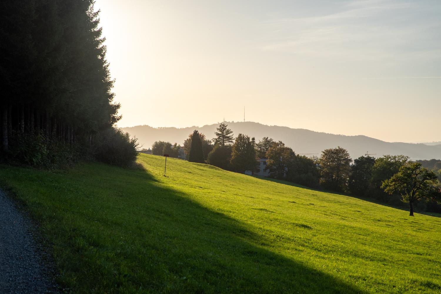 View over the Uetliberg from Allenwiesliweg: a path on the left side, trees casting a shadow, and the silhouette of the Uetliberg in the background, fairly hazy. The light is golden.