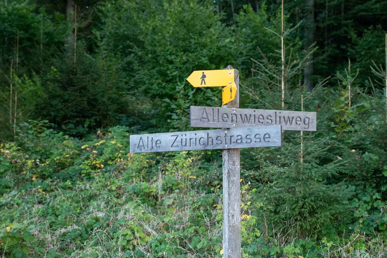 Wooden path sign separating Alte Zürichstrasse and Allenwiesliweg, with a couple of yellow hiking path signs on top