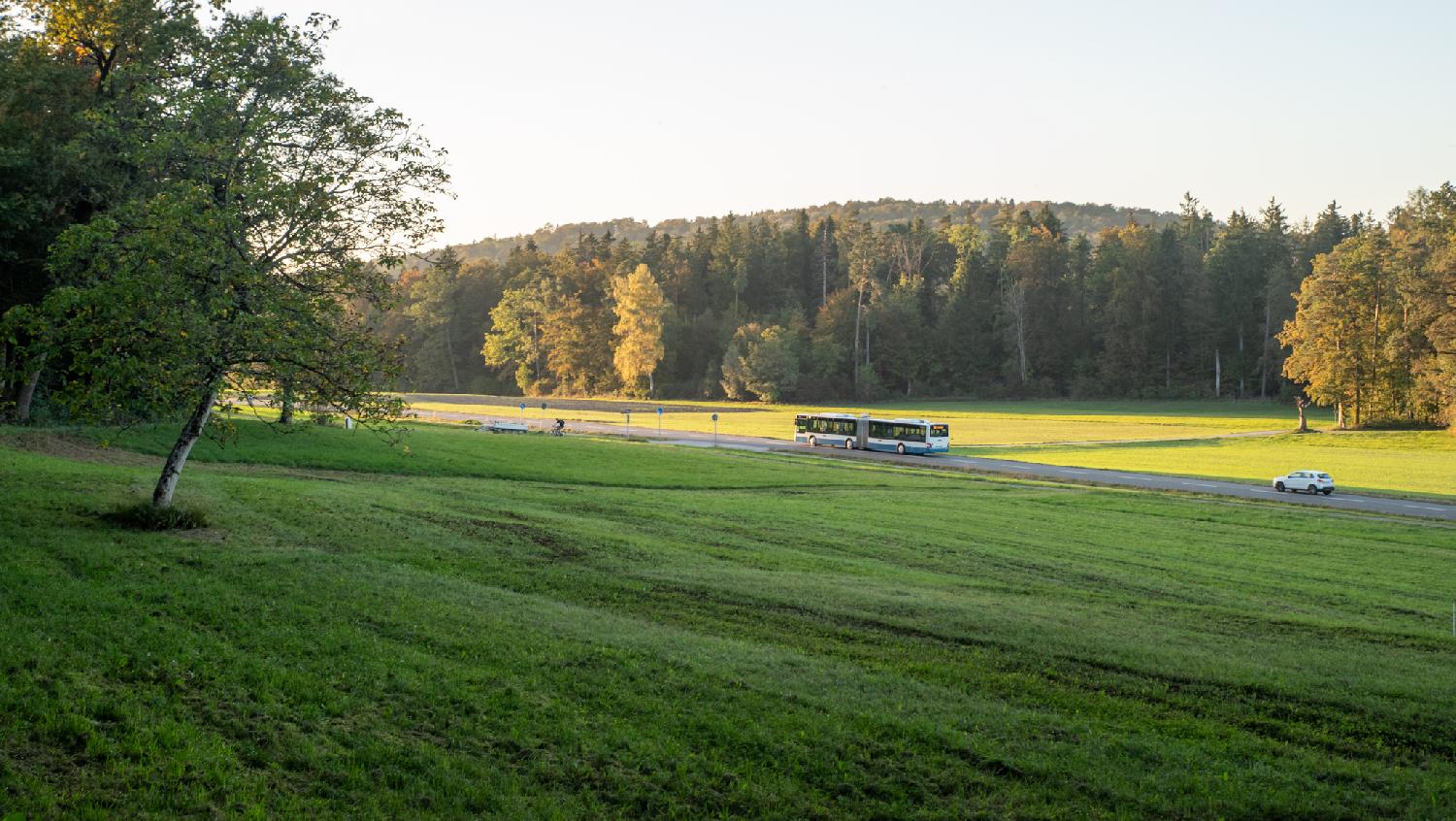 View from Alte Zürichstrasse: a green meadow, yellowing trees in the background, and a road with a white and blue bus