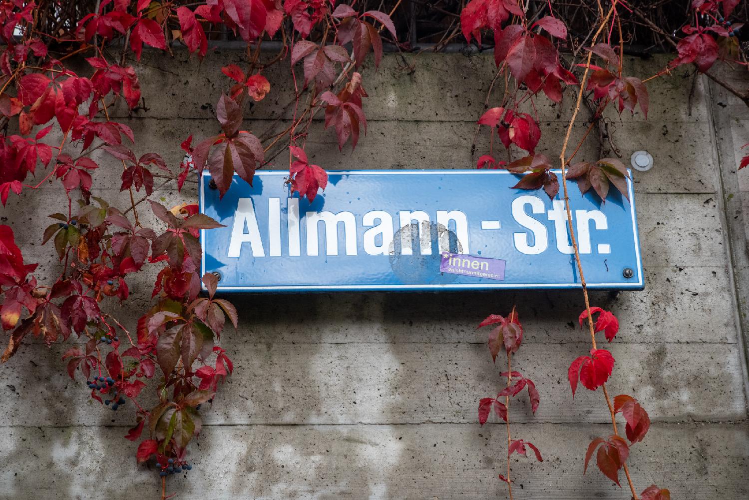 Zürich Allmannstrasse street sign: a blue sign on a grey wall, surrounded by small red leaves