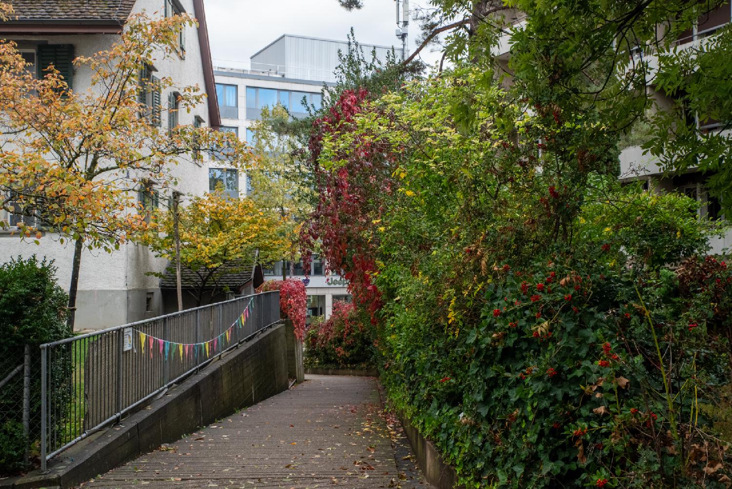Allmannstrasse in Zürich: a small pedestrian alley with residential buildings on each side; on the left side, a pennant garland hanging on a metallic rail; on the right side, the building is hidden by low trees.