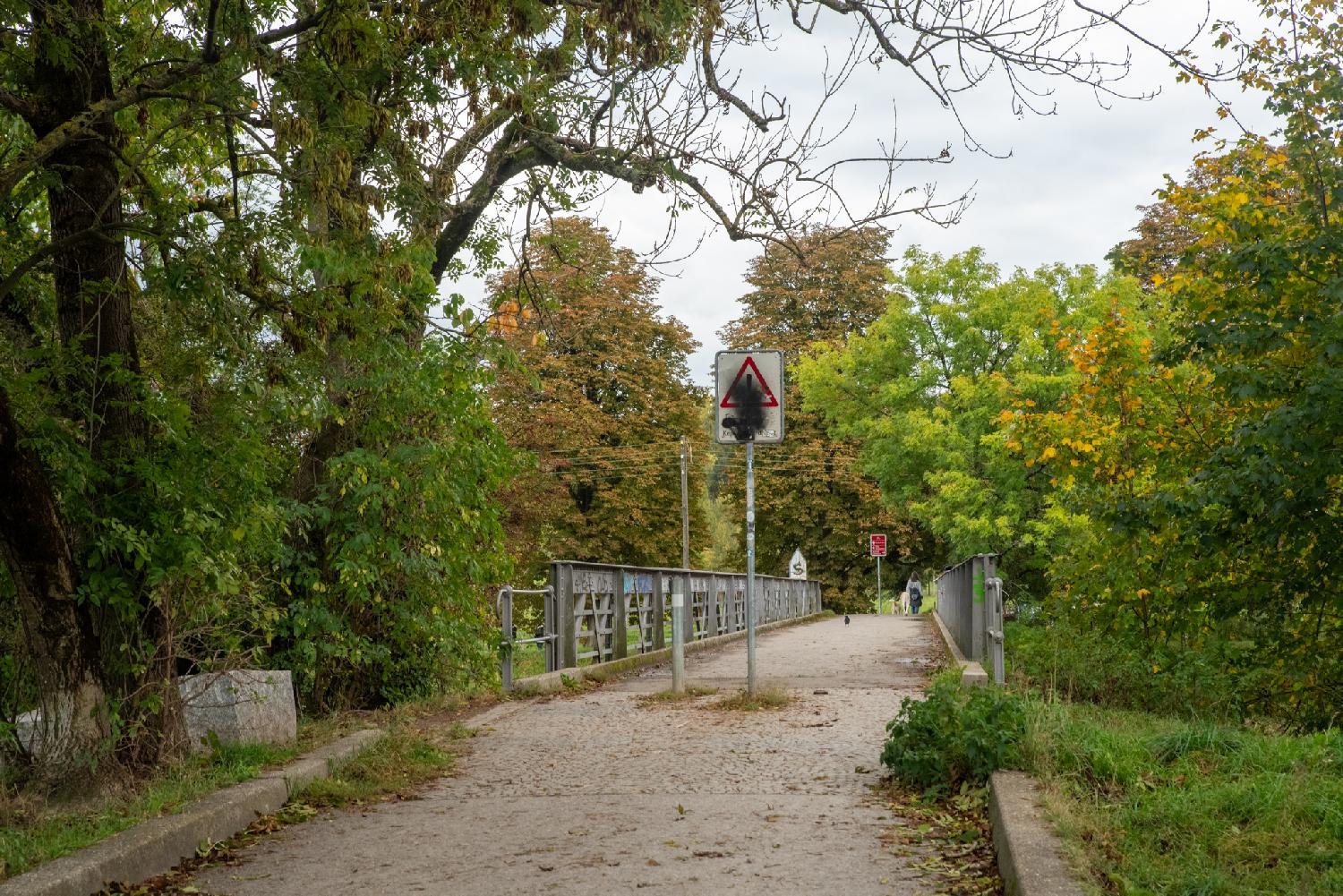 Allmendbrücke in Zürich: a pedestrian bridge with metallic rails on each side, and trees all around
