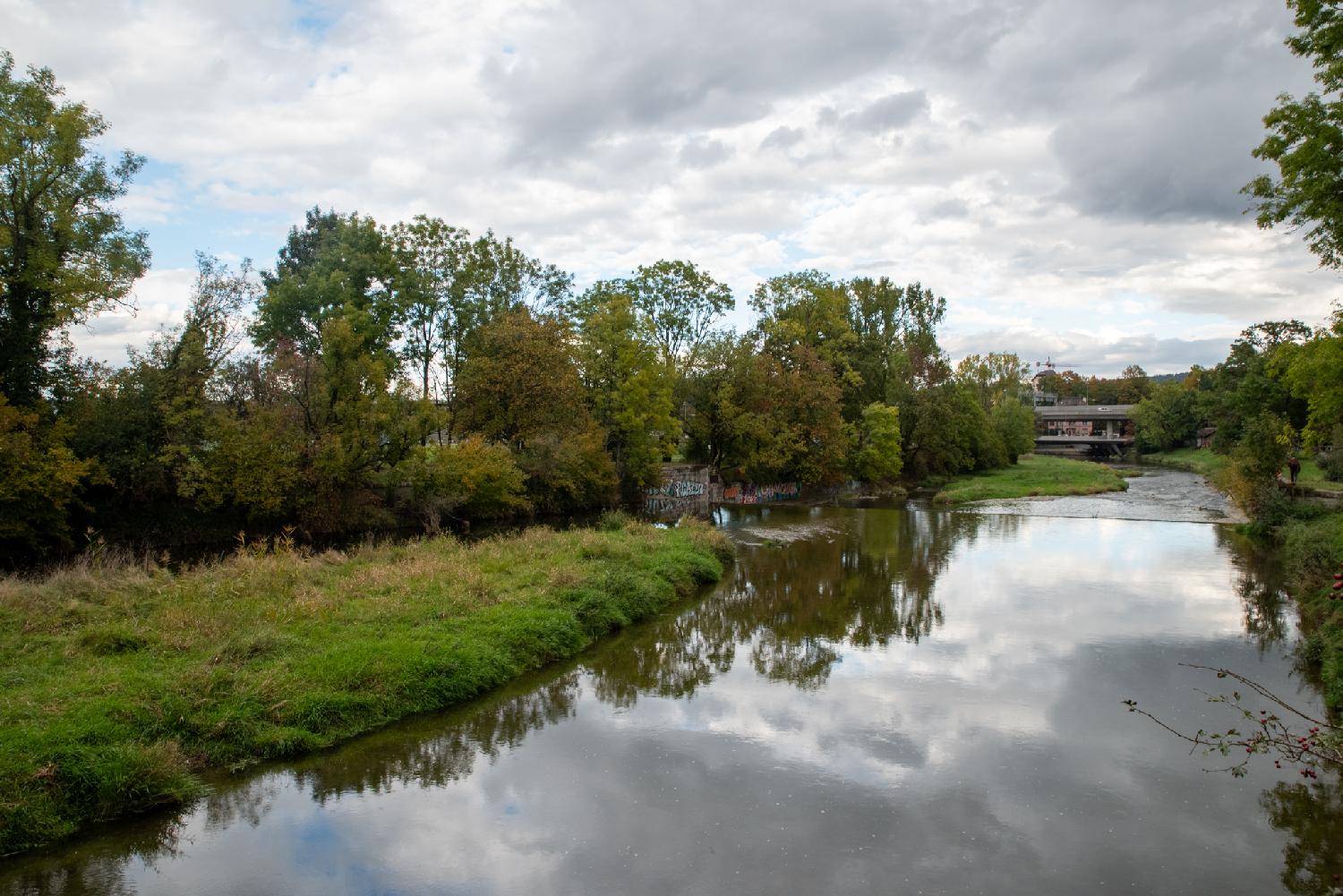 Sihl river from Allmendbrücke in Zürich: a quiet river reflecting the cloudy sky, with a meadow and trees on the left side