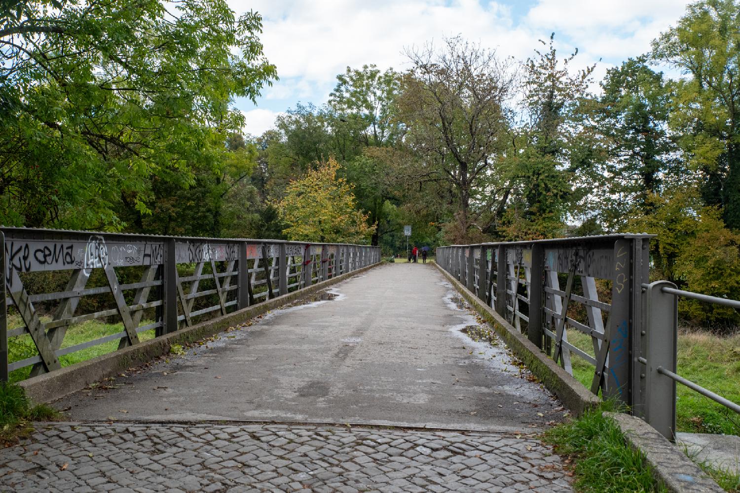 Allmendbrücke in Zürich: a pedestrian bridge with metallic rails on each side, and trees all around