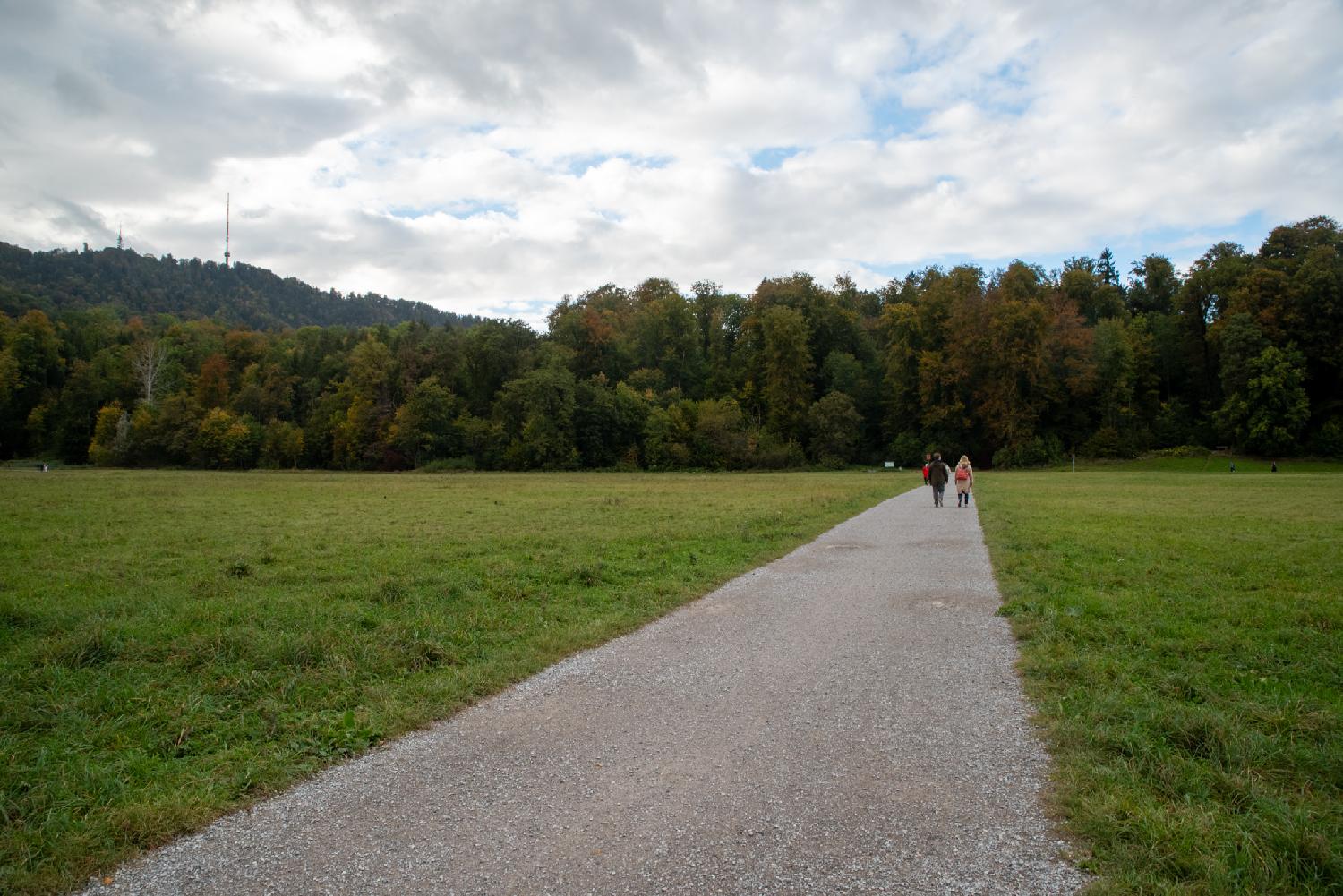 Allmendweg in Zürich: a gravel path in the middle of a grass meadow, with trees and a hill in the background
